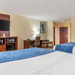 Suite Lit Queen-Size